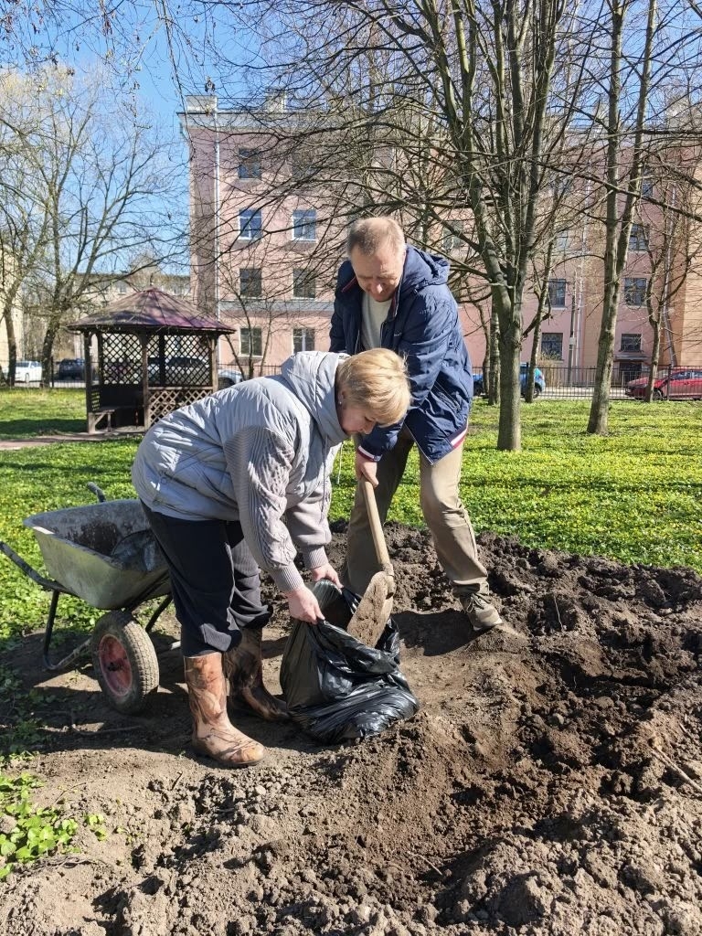 uploaded picture